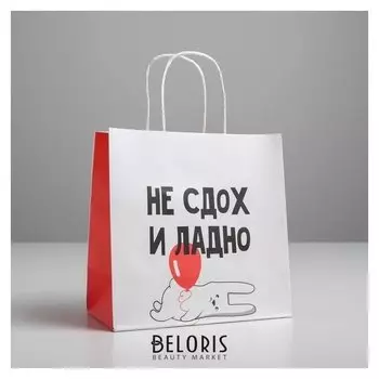 Пакет подарочный «И ладно», 22 х 22 х 11 см