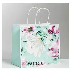 Пакет подарочный крафтовый Present, 25 × 22 × 12 см