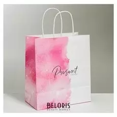 Пакет подарочный крафтовый Present For You, 22 × 25 × 12 см