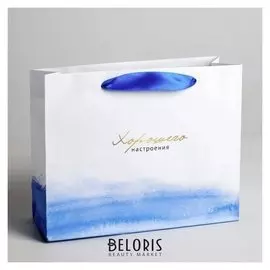 Пакет подарочный ламинированный «Гармонии», 22 × 17.5 × 8 см