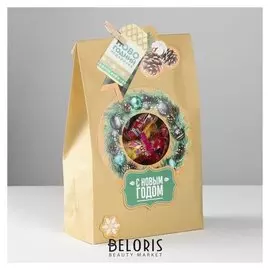 Пакет подарочный «Новогодний подарочек», набор для создания, 15.5 × 28.5 см