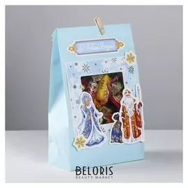 Пакет подарочный «Снегурочка и Дед мороз», набор для создания, 15.5 × 28.5 см