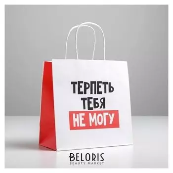 Пакет подарочный «Терпеть тебя не могу», 22 х 22 х 11 см