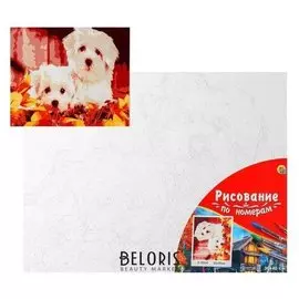 Палитра. холст с красками 30х40 см по номерам, в плёнке «Щенки в осенних листьях»