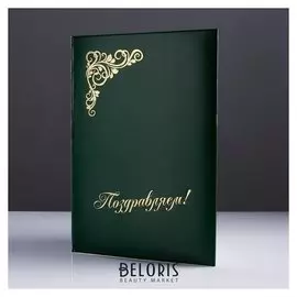 Папка адресная "Поздравляем" бумвинил, мягкая, зелёный, А4