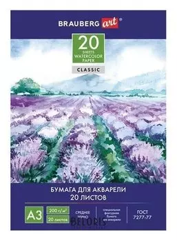 Папка для акварели большого формата А3, 20 л. "Долина цветов"