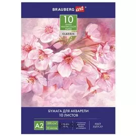 Папка для акварели большого формата "Цветы"