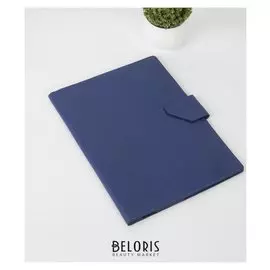 Папка для документов, 4 компл, для карт, на кнопке, синий