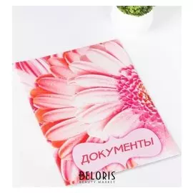 Папка для семейных документов, 2 комплекта, цвет белый/розовый