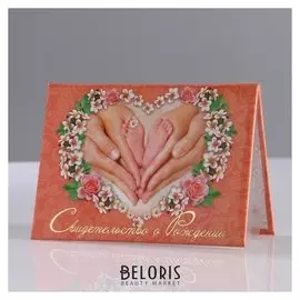 Папка для свидетельства о рождении Пяточки А5