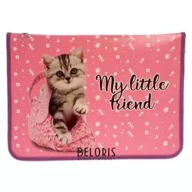 Папка для тетрадей А4, молния вокруг, пластиковая, пм-а4-04, «Котик в сумке»