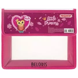 Папка для тетрадей А5, 2 отделения, пластик, клапан на липучке Owl Princess