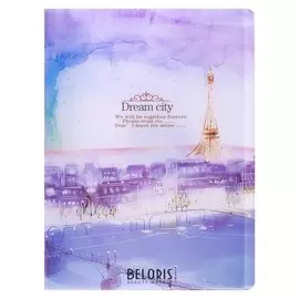 Папка, формат А4, с 30 прозрачными файлами, пластик, «Города»