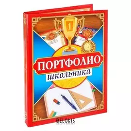 Папка на кольцах Портфолио школьника