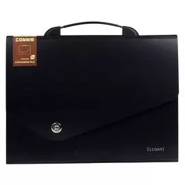 Папка-портфель 13 отделений, формат А4, на кнопке, черный