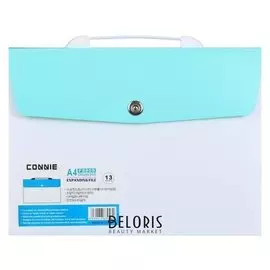 Папка-портфель 13 отделений, формат А4, на кнопке, светло-зеленый+белый