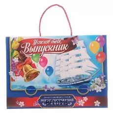 Папка-портфель для подарков Успехов тебе, выпускник