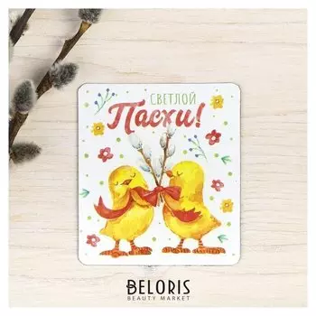 Пасхальный магнит «Цыплята с вербой»
