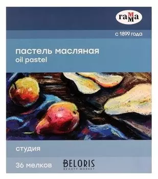 Пастель масляная, набор 36 цветов, гамма "Студия", D-8мм, L-65мм, в картонной коробке
