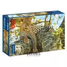 Пазл 1000 элементов Леопард
