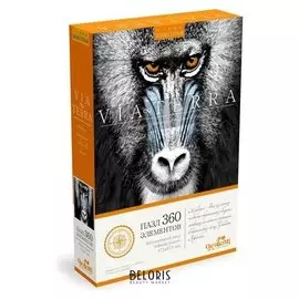 Пазл 360 элементов «Виа терра. сфинкс конго»