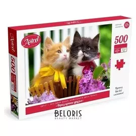 Пазл 500 элементов Неразлучные друзья