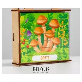 Пазл-палочки Грибы