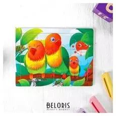 Пазл Попугаи 12 элементов