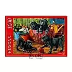 Пазл "Щенки лабрадора"