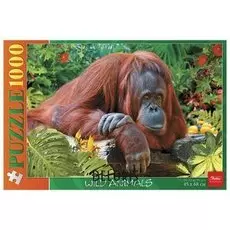 Пазл Standard "Орангутанг" 1000 элементов