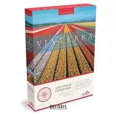 Пазл Виа Терра Цветочная геометрия 500 элементов