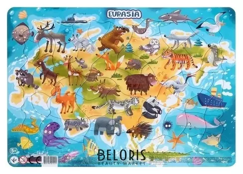 Пазл в рамке Евразия 53 элемента