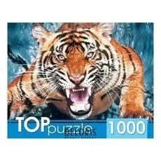 Пазлы 1000 элементов Грозный тигр