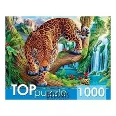 Пазлы 1000 элементов Леопард