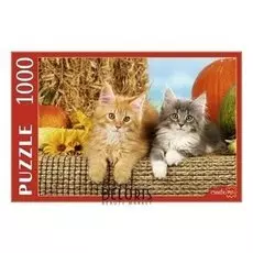 Пазлы "Котята и тыквы"