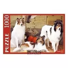 Пазлы "Собаки колли"