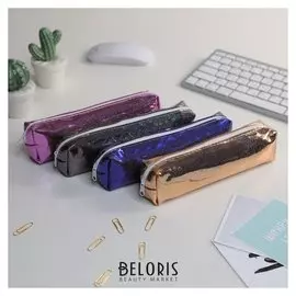 Пенал школьный "Зеркальный", металлик, на молнии