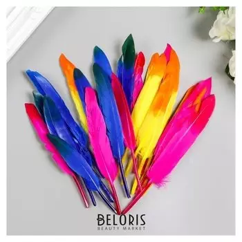 Перья декоративные прямые, 10-15 см (Набор 24 шт) 6 цветов, двухцветные