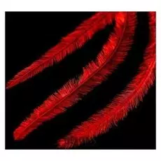 Перья для декора, цвет красный