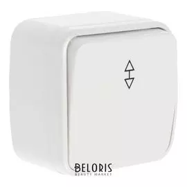 Переключатель TDM "Дача" народный, на 2 напр, 1 клавиша, 10 А, Ip20, открытый,цвет сл. кость