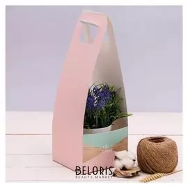 Переноска для цветов Be Happy, 14 × 14 × 40 см