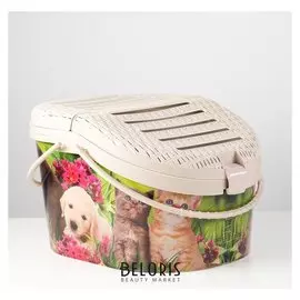 Переноска "Феликс" для животных, пластик, 45 X 37,5 X 41 см