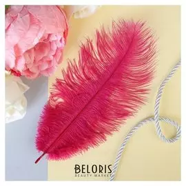 Перо для декора, размер 24 см, цвет бордовый