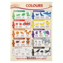 Плакат "Colours" А3