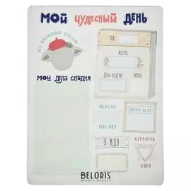 Планер магнитный с маркером "Мой чудесный день" 22 х 29 см
