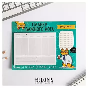 Планер на магнитах Планер важного кота 15 х 20 см (размер части для заполнения 10 х 13 см)