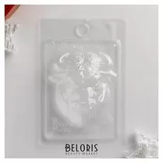 Пластиковая форма "Брутальный бык"