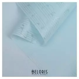 Пленка для цветов "Ноты", голубой, 58 см х 5 м