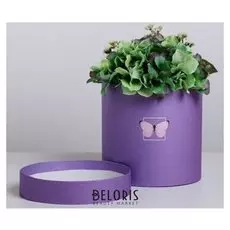 Подарочная коробка круглая «Бабочки», 16 × 16 см