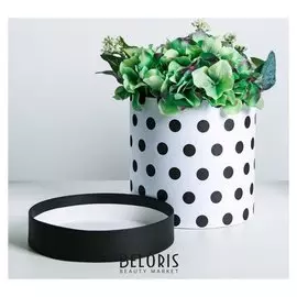 Подарочная коробка круглая «Чёрный горох», 16 × 16 см